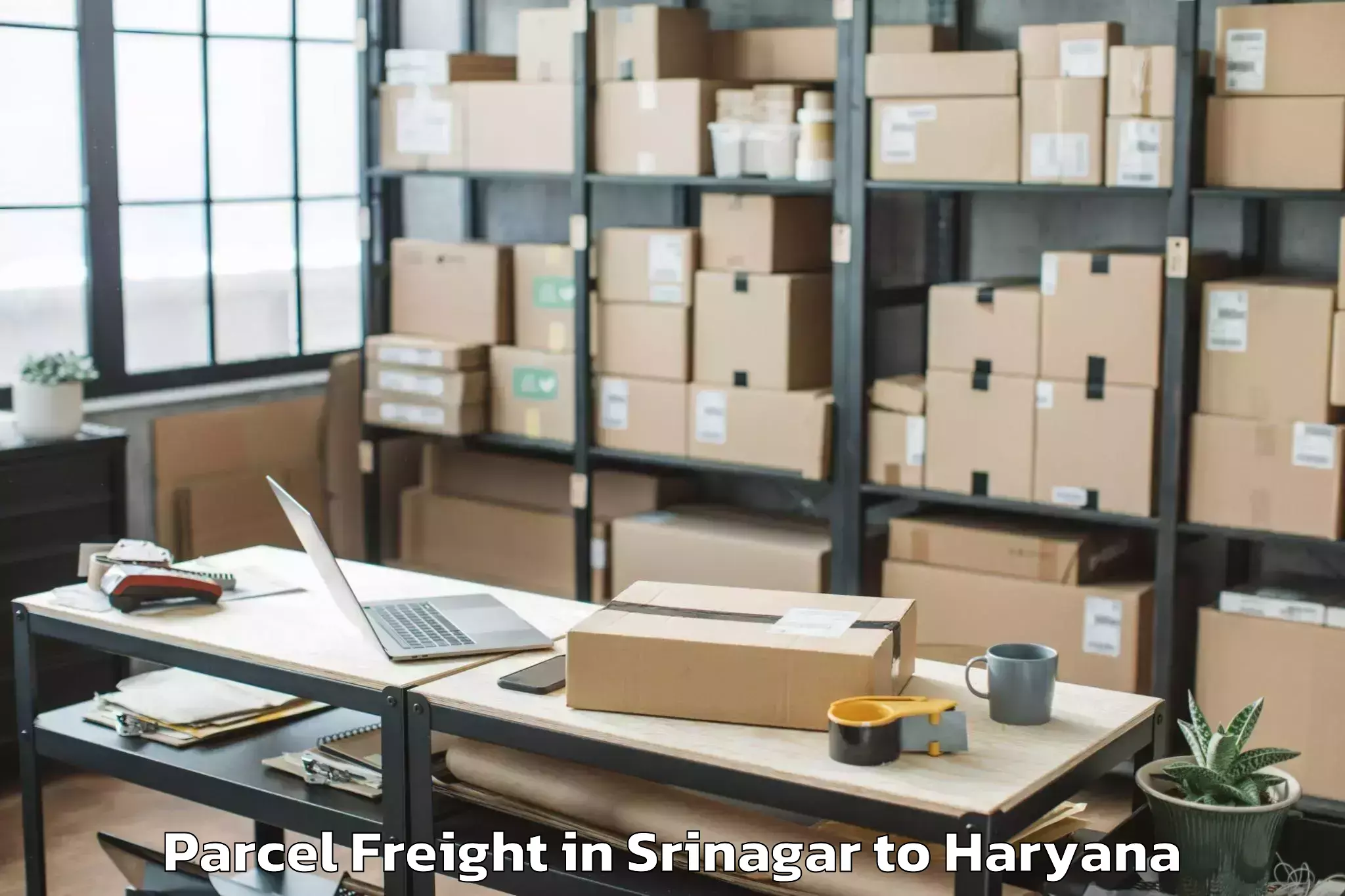 Get Srinagar to Agroha Parcel Freight